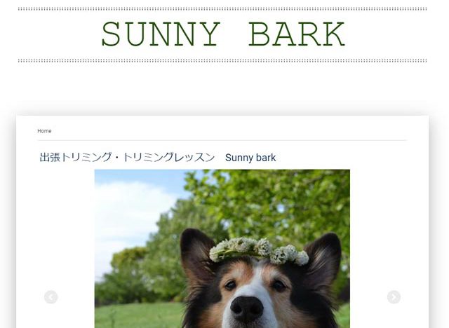 Sunny bark