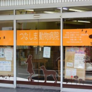 武蔵小杉 日吉 綱島 全国ペットサロンランキング