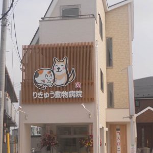 立川 八王子 青梅 全国ペットサロンランキング