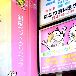 東京都 全国ペットサロンランキング