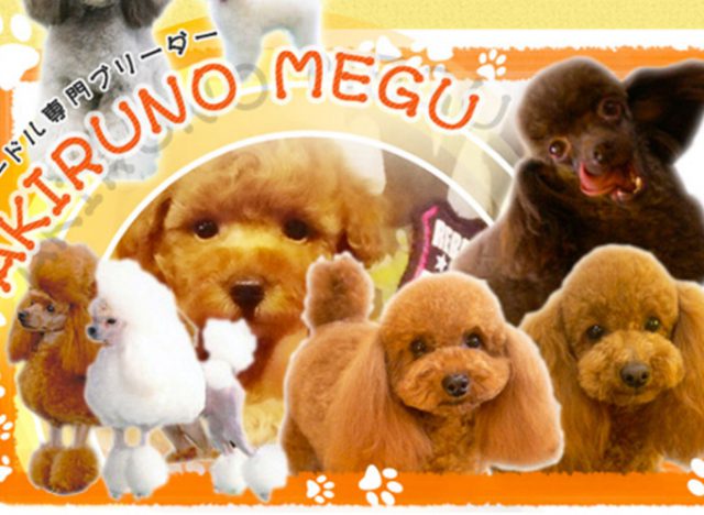 愛犬美容室メグ 秋川 全国ペットサロンランキング