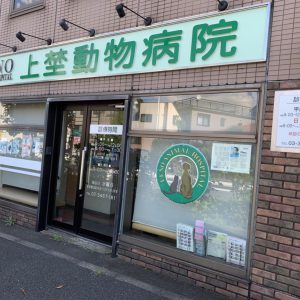 全国店舗ランキング 全国ペットサロンランキング