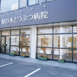 立川 八王子 青梅 全国ペットサロンランキング