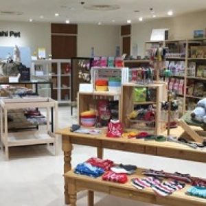 横浜 東神奈川 全国ペットサロンランキング