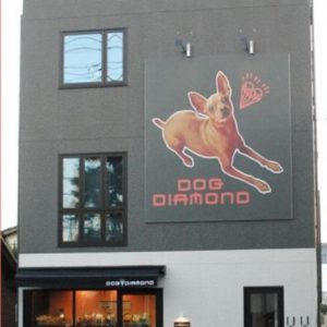 DOG DIAMOND（立川　ペットホテル、ペットサロン）