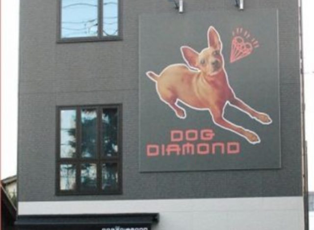 DOG DIAMOND（立川　ペットホテル、ペットサロン）