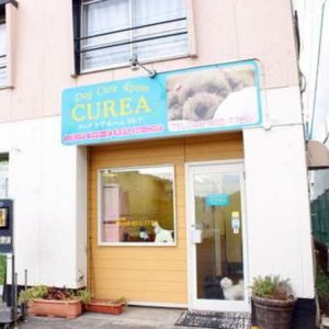 Dog Care Room CUREA（山久保）