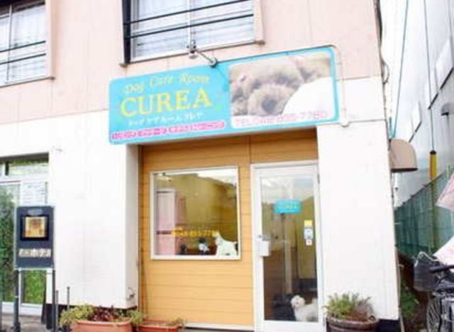 Dog Care Room CUREA（山久保）