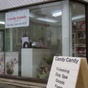 Dog Salon Candy Candy（向ヶ丘遊園）