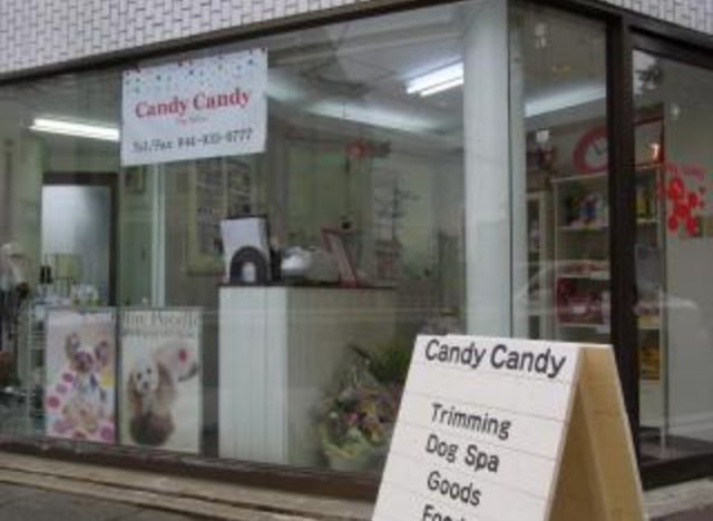 Dog Salon Candy Candy（向ヶ丘遊園）