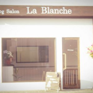 Dog Salon La Blanche（誉田町）