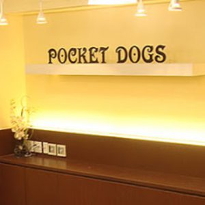 犬の美容室 ポケットドッグ（浅草橋）