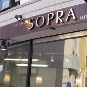 SOPRA GINZA（ソプラ銀座） 池袋店（ペットホテル、ペットサロン）