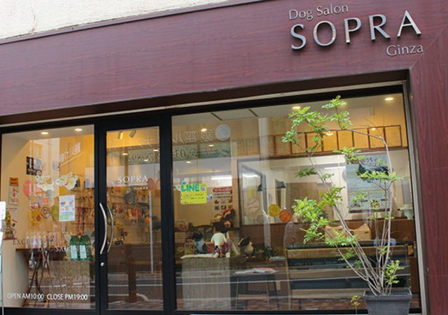 SOPRA GINZA（ソプラ銀座） 銀座本店