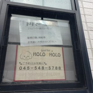 ドッグサロン HOLO HOLO（日吉）