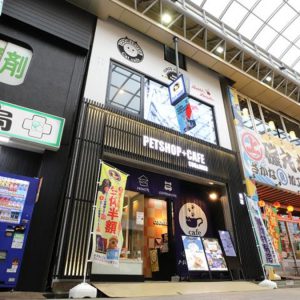 ペットショップ Coo&RIKU 浅草店（ペットホテル、トリミング）