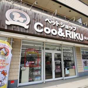 ペットショップ Coo&RIKU 横浜旭店