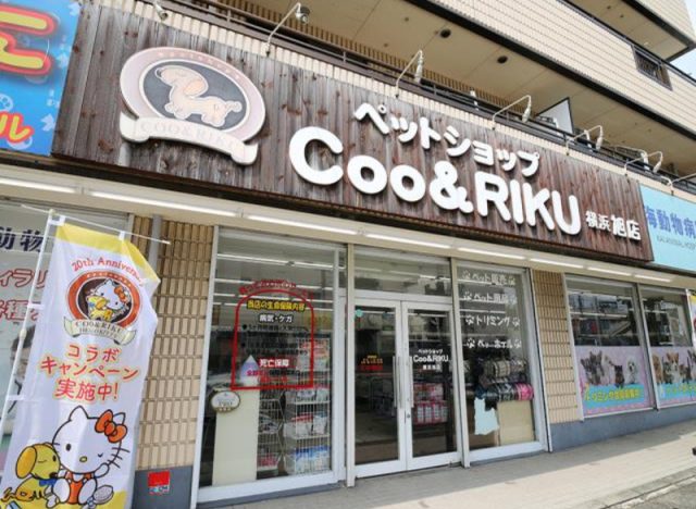 ペットショップ Coo&RIKU 横浜旭店