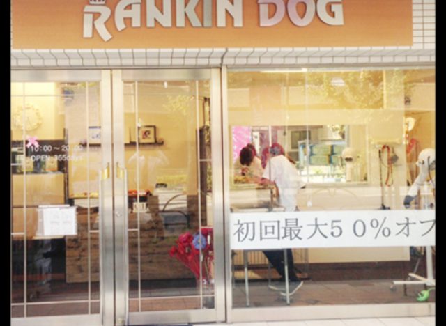 RANKIN DOG（ランキンドッグ） 文京店（ペットホテル、ペットサロン）