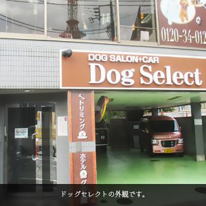 Dog Select（ドッグセレクト）千鳥町