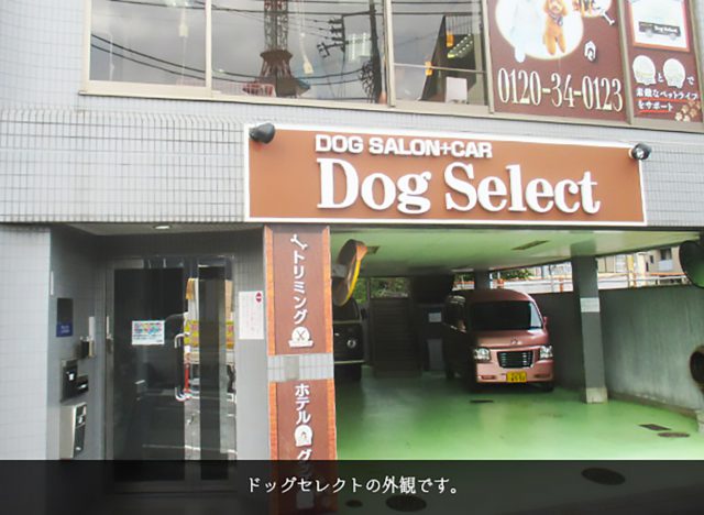 Dog Select（ドッグセレクト）千鳥町