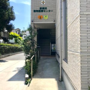 新横浜動物医療センター（ペットホテル、トリミング）