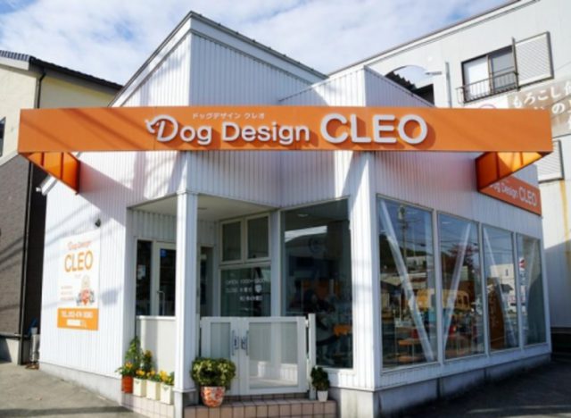 Dog Design CLEO（中区城北）