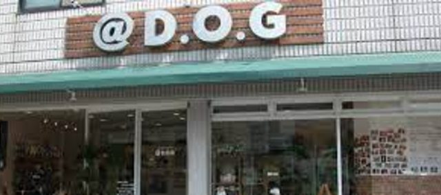 Dog Salon & Dog Cafe @D.O.G（アットドッグ）