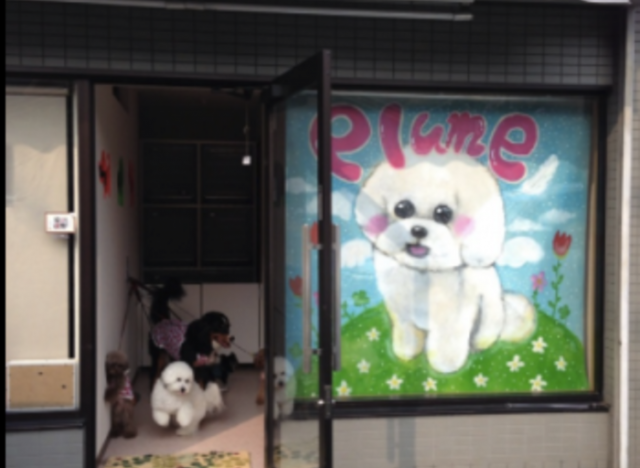 Dog salon Plume（プリュム）