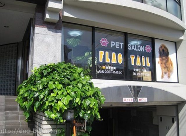 Flag Tail（フラッグテール） 名東店