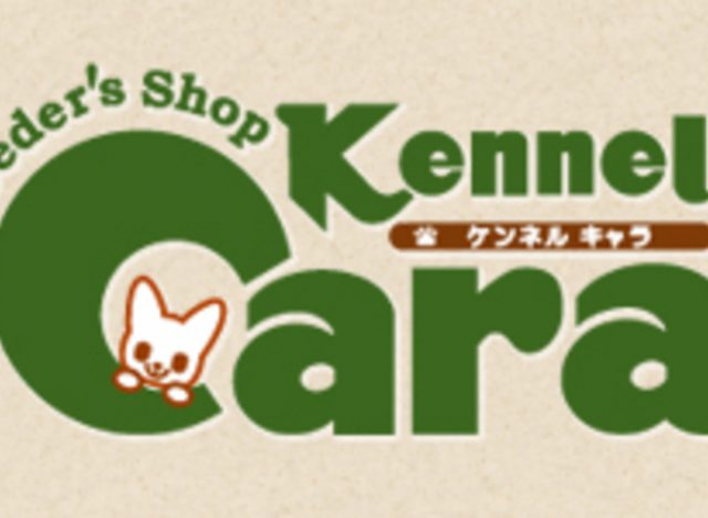 Kennel Cara（ケンネルキャラ） 新潟店（ペットホテル、ペットサロン）