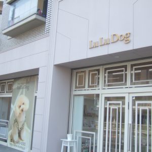 LuLuDog 福島店