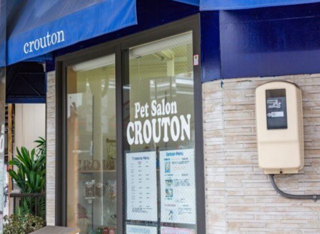 Pet Salon Crouton（葵区馬場町）