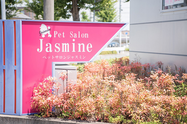 Pet Salon Jasmine