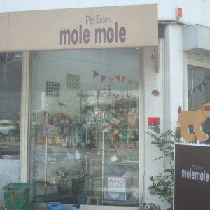 Pet Salon molemole（モルモル）