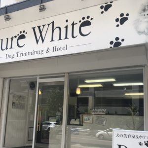 Pure White（ピュアホワイト） 名東店