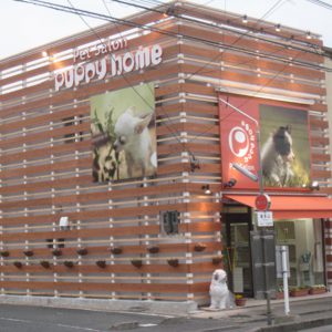 puppy home（パピーホーム） 喜多山店