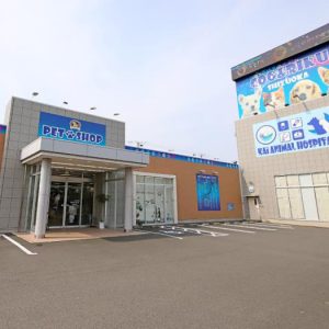 ペットショップ Coo&RIKU 静岡SBS通り店