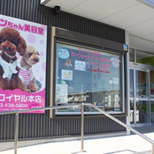 ワンちゃん美容室と子犬販売 ロイヤル 本店（北区東三方町）