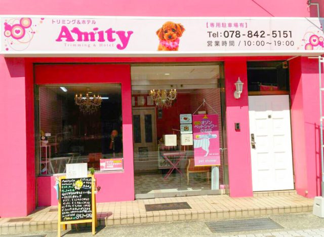 Amity 御影店