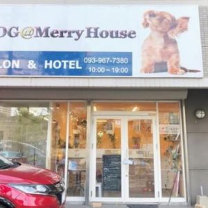 DOG@Merry House（ドッグアットメリーハウス） 小倉店