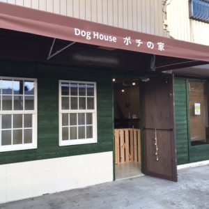 Dog House ポチの家
