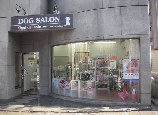 Dog Salon Oggi del sole（ドッグサロン オッジデルソーレ）