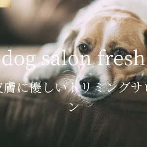 dog salon fresh（ドッグサロン フレッシュ）炭酸浴