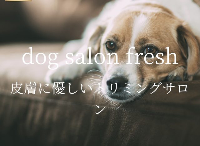 dog salon fresh（ドッグサロン フレッシュ）炭酸浴