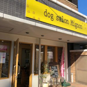 dog salon Mignon（ドッグサロン ミニョン）