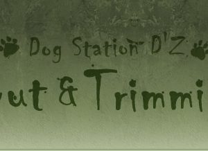 Dog Station D’z（ドッグステーション ディーズ）