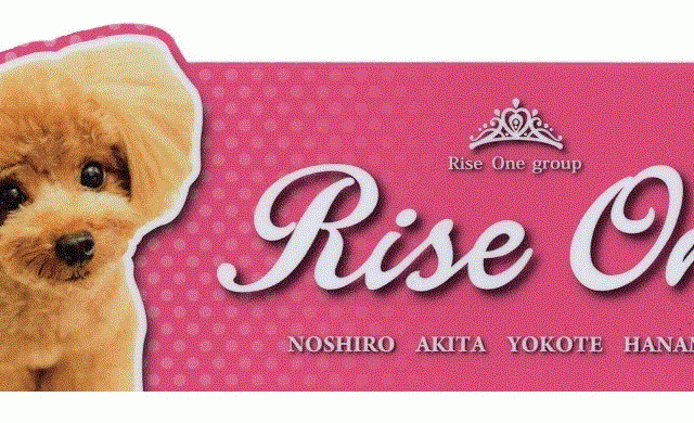 RISE ONE（ライズワン）トリミング 秋田店