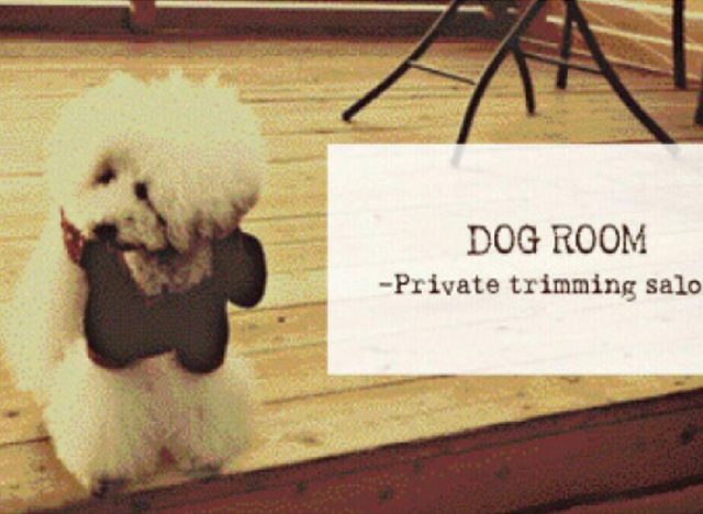 private trimming salon DOG ROOM