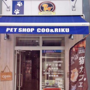ペットショップ Coo&RIKU 神戸三宮店